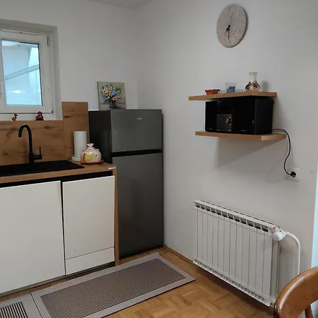 Lejlighed Apartma Gasper *