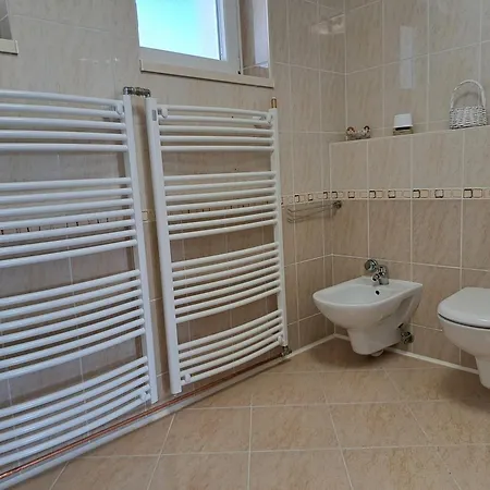 Lejlighed Apartma Gasper *